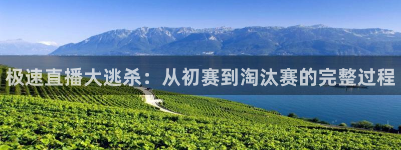 极速直播大逃杀：从初赛到淘汰赛的完整过程