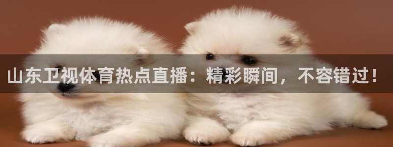 山东卫视体育热点直播：精彩瞬间，不容错过！